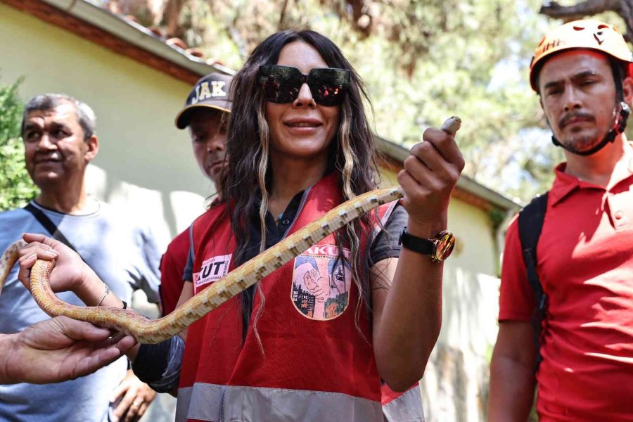 Stk’lara Hayvan Arama Kurtarma Eğitimi