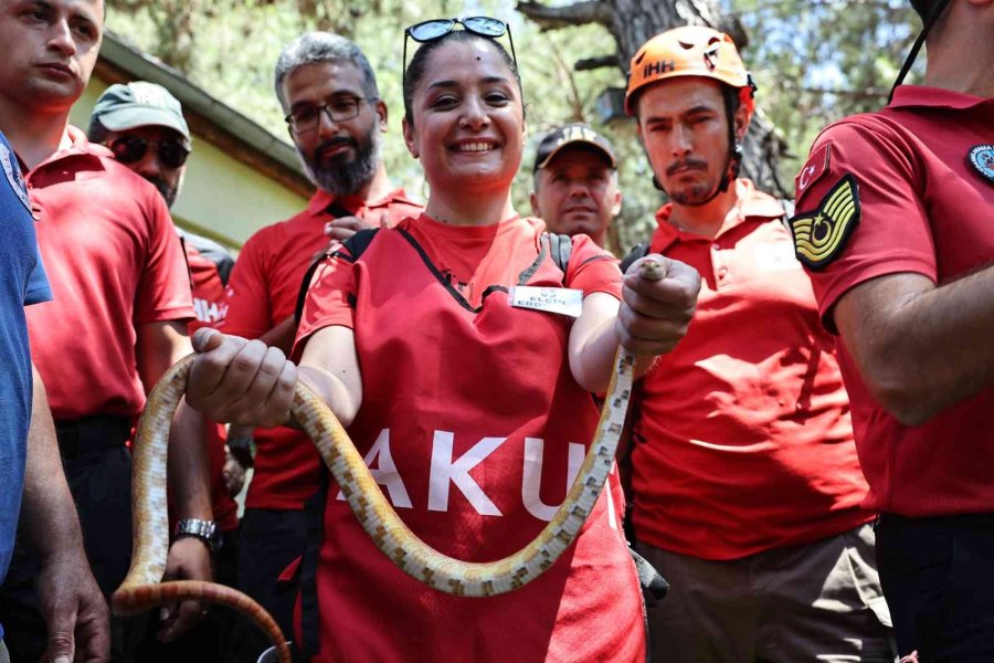 Stk’lara Hayvan Arama Kurtarma Eğitimi