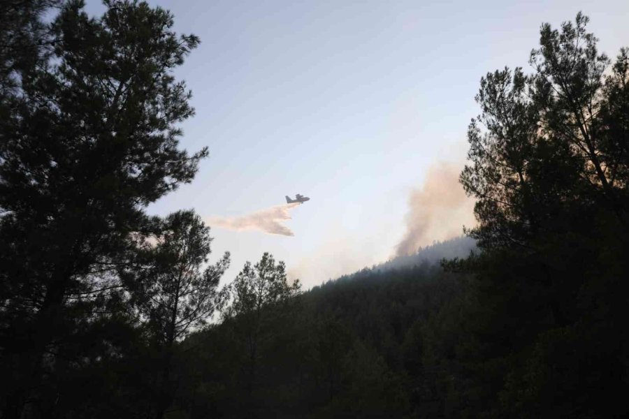 Vali Arslantaş: "yangının Kontrol Altına Alınması İçin Ekipler Cansiparene Çalışıyor"