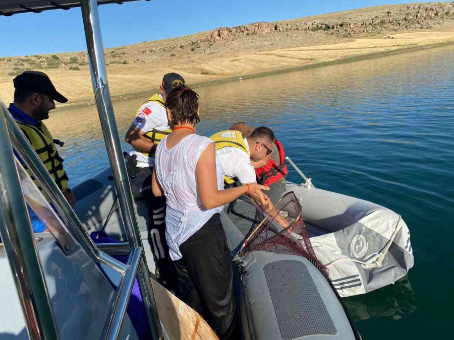 Botları Alabora Olan Şahısları Jandarma Bot Timi Kurtardı