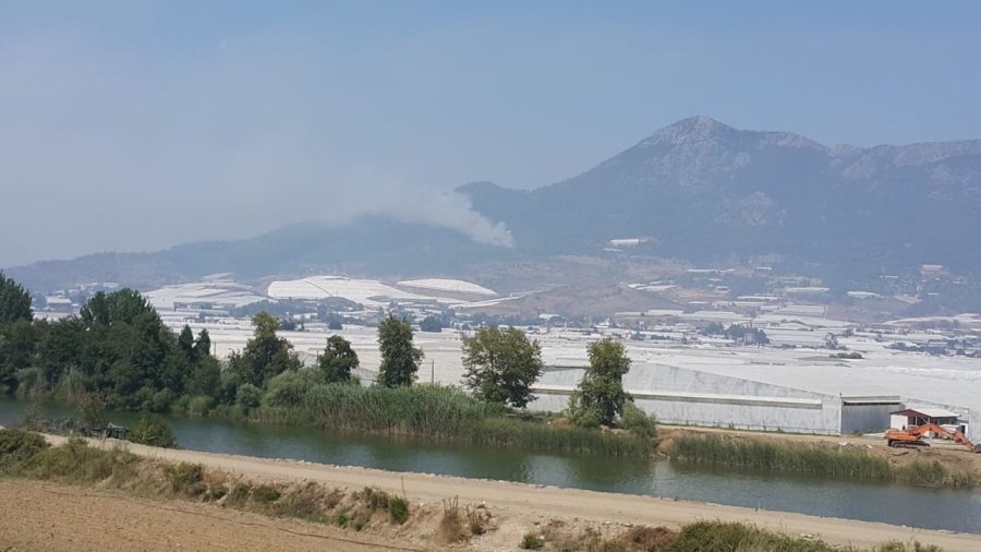 Mersin’de Orman Yangınına 2 Uçak Ve 5 Helikopterle Müdahale Ediliyor