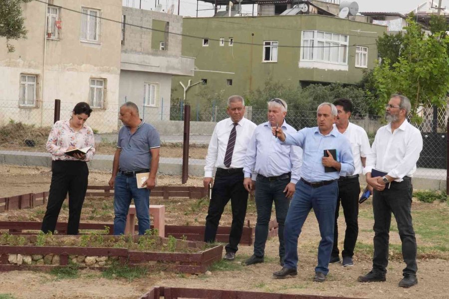 Tarsus’ta ’zeytin Gen Koruma Alanı’ Açılıyor