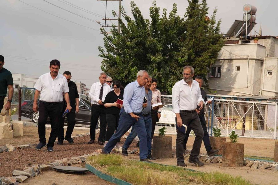 Tarsus’ta ’zeytin Gen Koruma Alanı’ Açılıyor