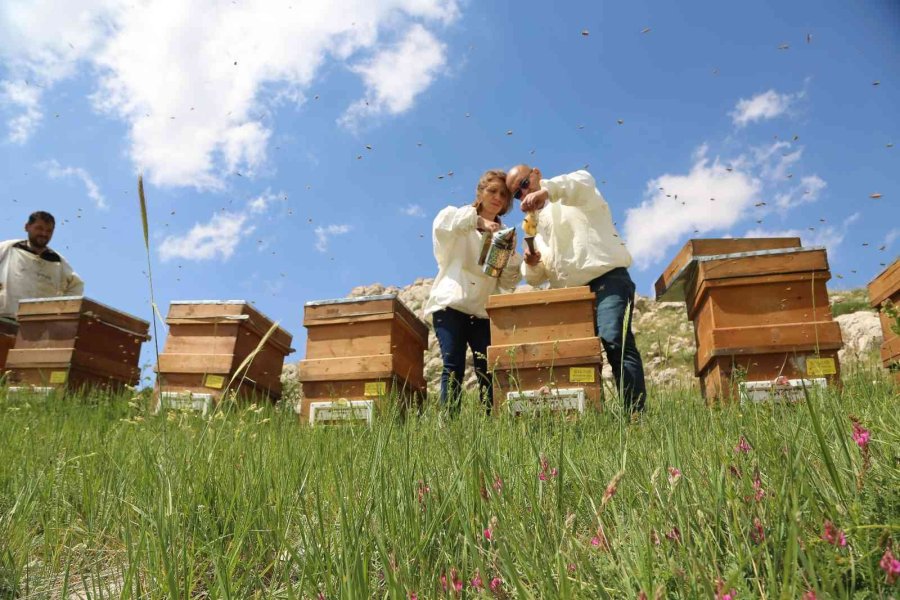 Şifa Kaynağı “oğul Balı”