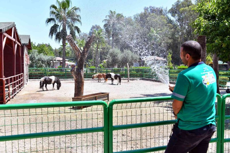 Tarsus Doğa Parkı’ndaki Canlılar Buzlu Yiyeceklerle Serinletiliyor