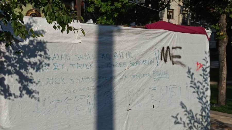 Hayvanseverlerden ‘çiğ Et’ Uyarısı