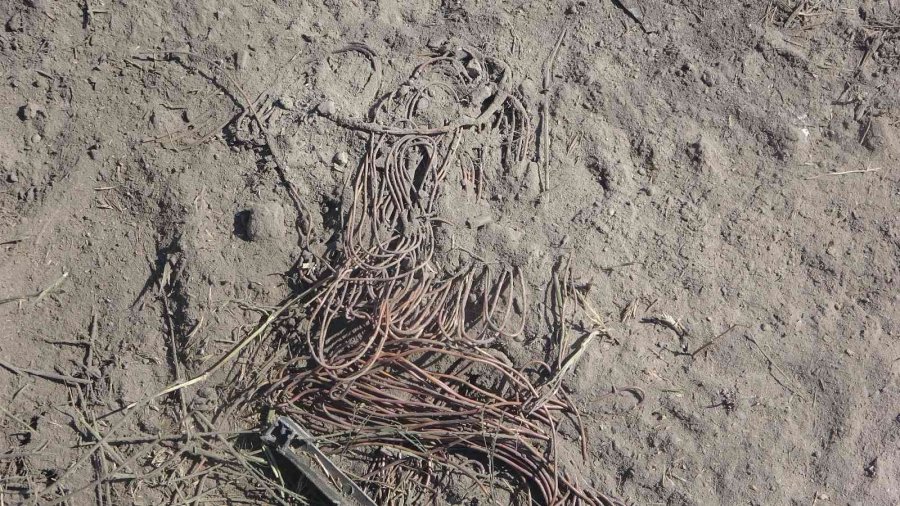 Hırsızlar Kabloları Yakmaya Çalışırken 30 Dönümlük Araziyi Yaktılar