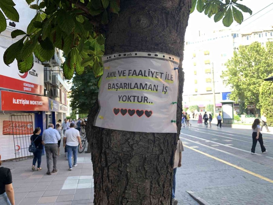 Vatandaşlar Motivasyon Kaynağını Ağaçlara Yazılan Notlarda Buldu