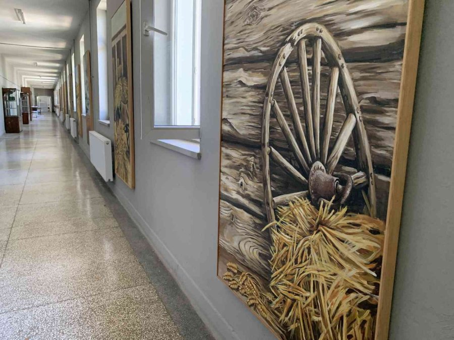 Anadolu’nun Simge Yiyeceği Başağı Tuvale Dokudu