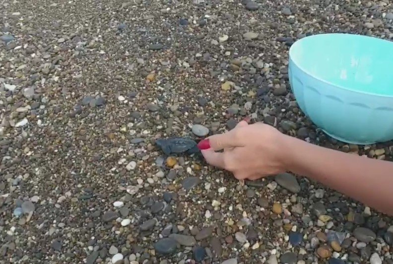 Yolunu Kaybeden Yavru Carettayı Denizle Buluşturdular