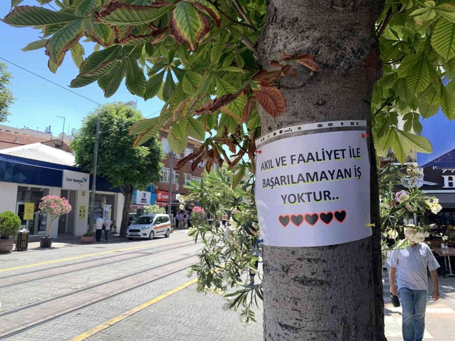 Vatandaşlar Motivasyon Kaynağını Ağaçlara Yazılan Notlarda Buldu
