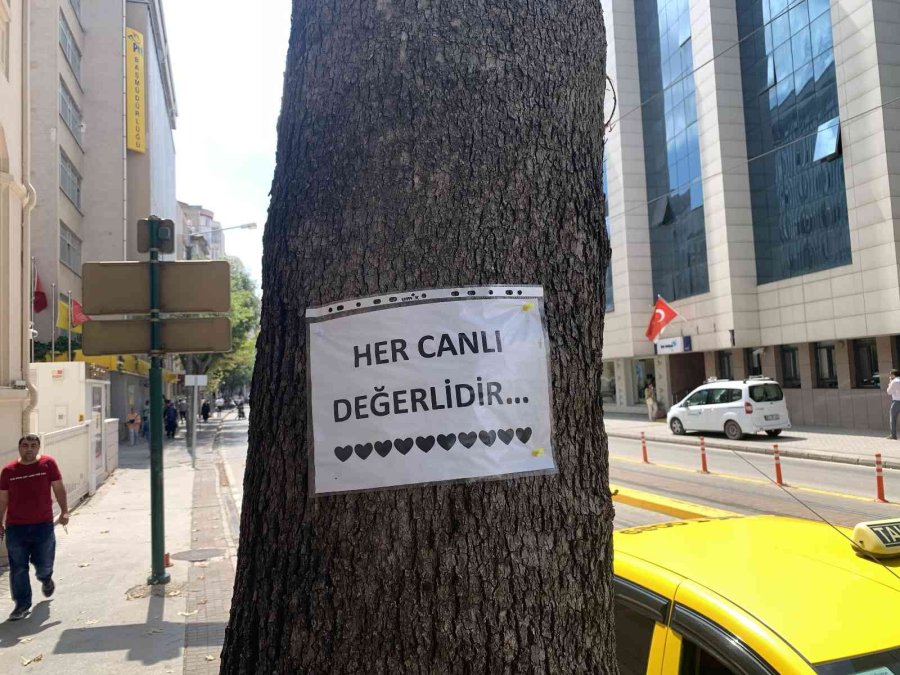 Vatandaşlar Motivasyon Kaynağını Ağaçlara Yazılan Notlarda Buldu