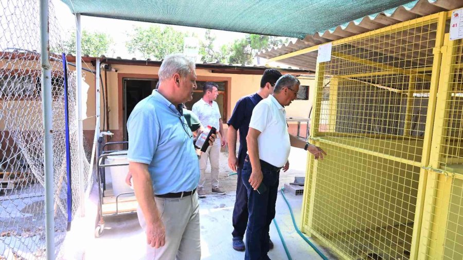 Başkan Topaloğlu: “tüm Canlıları Korumaya Devam Edeceğiz”