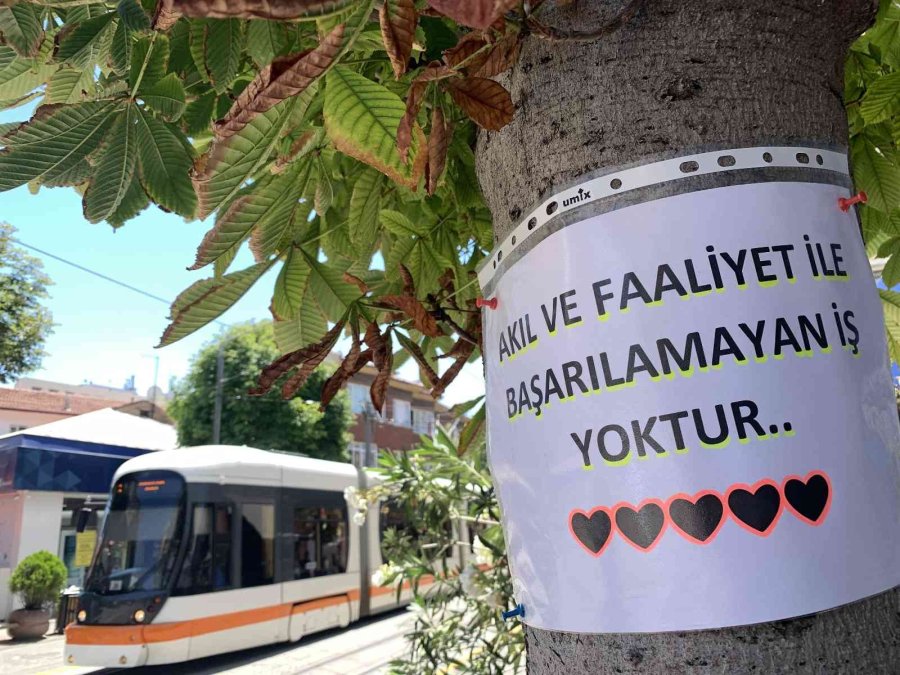 Vatandaşlar Motivasyon Kaynağını Ağaçlara Yazılan Notlarda Buldu