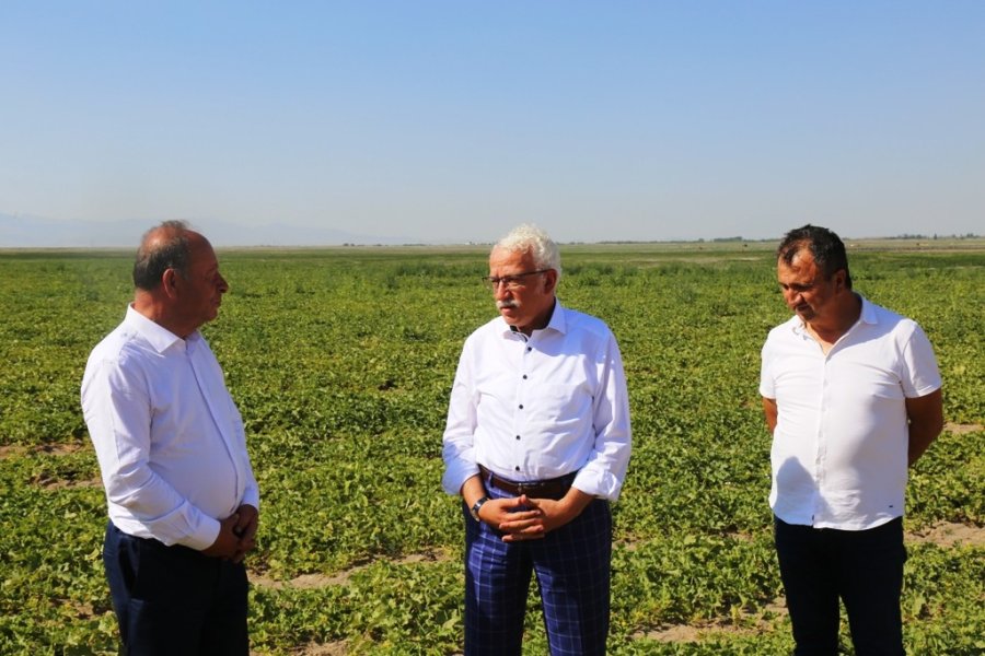 Başkan Oprukçu Ve Rektör Zorlu Organik Tarım Projesi’ni İnceledi