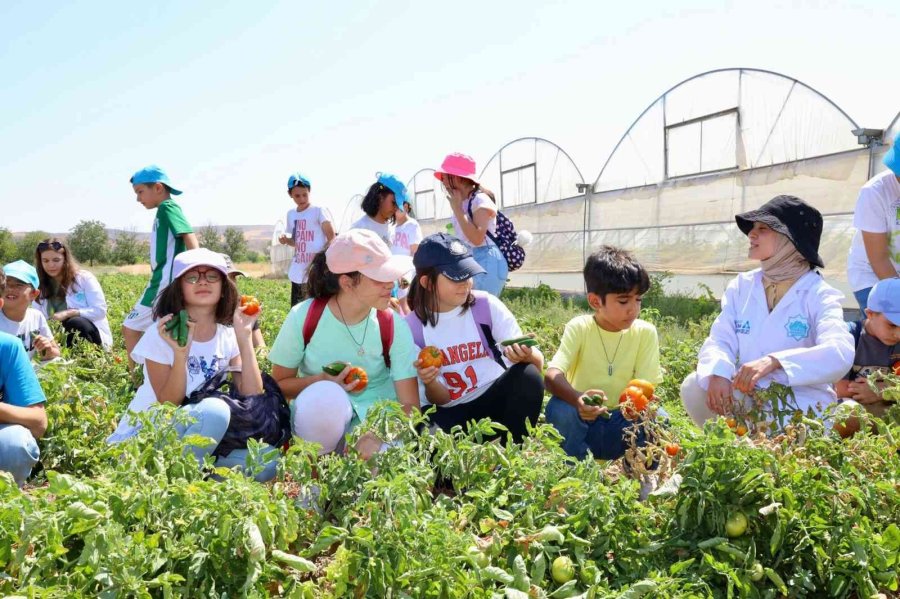 Tarım Ve Doğa Günü Etkinliğini Çocuklar Meraklı Gözlerle Takip Etti