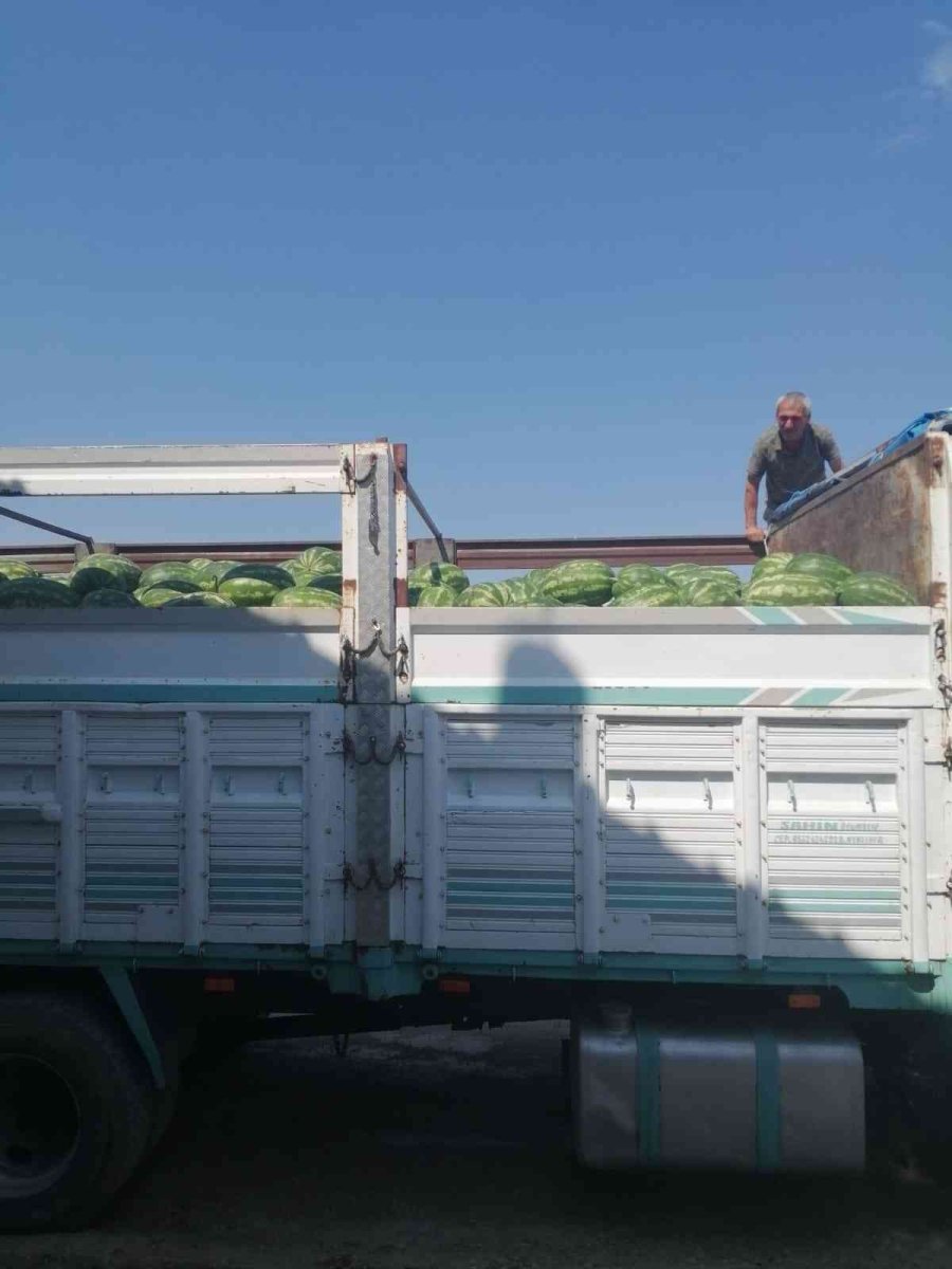 Korkuteli’de Kooperatif Karpuz Alımına Başladı