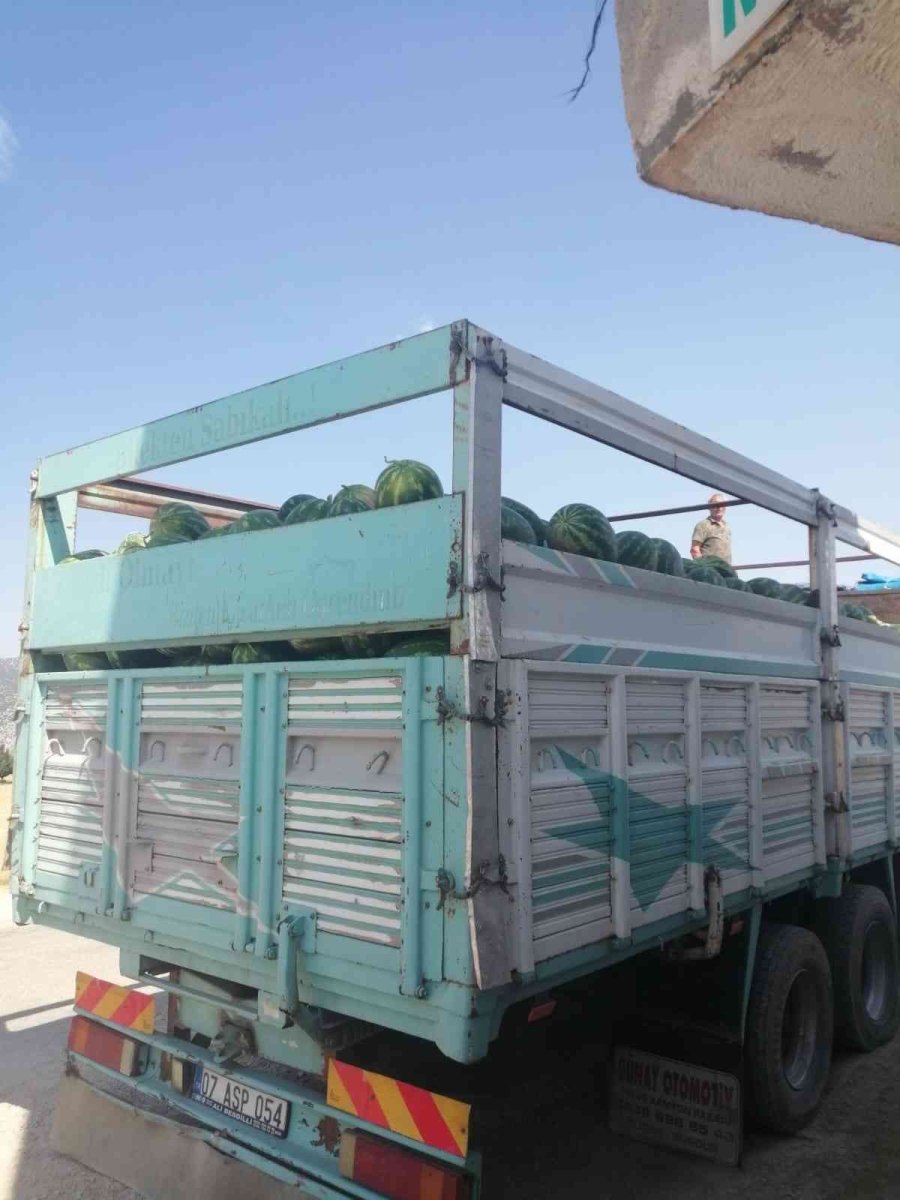 Korkuteli’de Kooperatif Karpuz Alımına Başladı