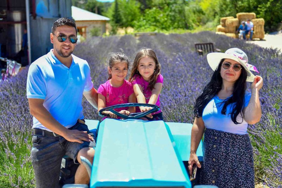 Mersin’de Köylüler Lavantayı Sevdi