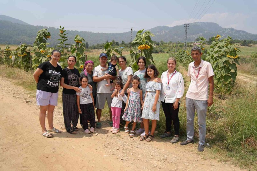 Çiftçilere Dağıtılan Fideler Meyve Verdi