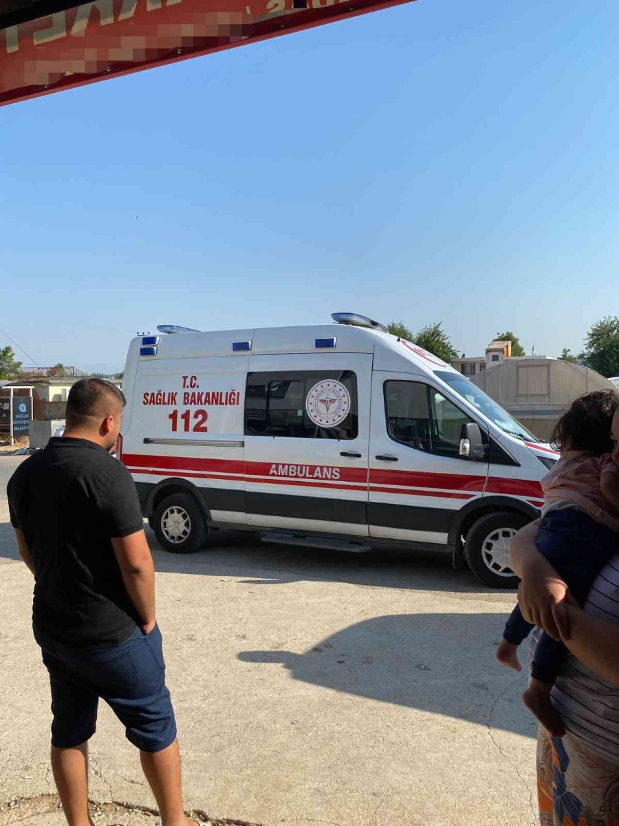 Antalya’da Vicdanları Sızlatan Olay: Ağaç Altında Bebek Bulundu