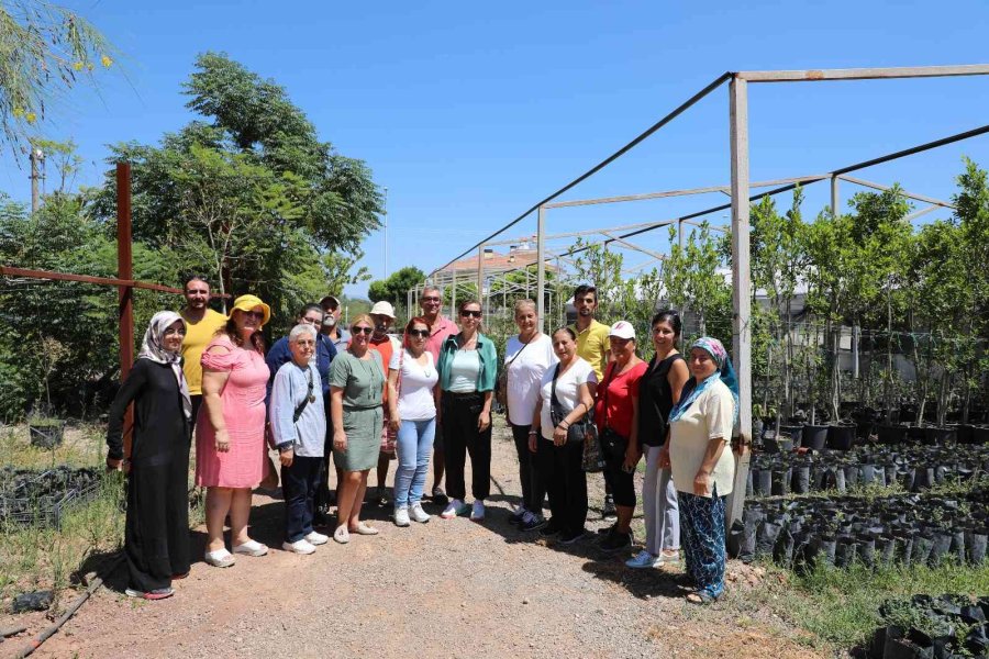 Tıbbi Aromatik Bitkiler Toprakla Buluştu