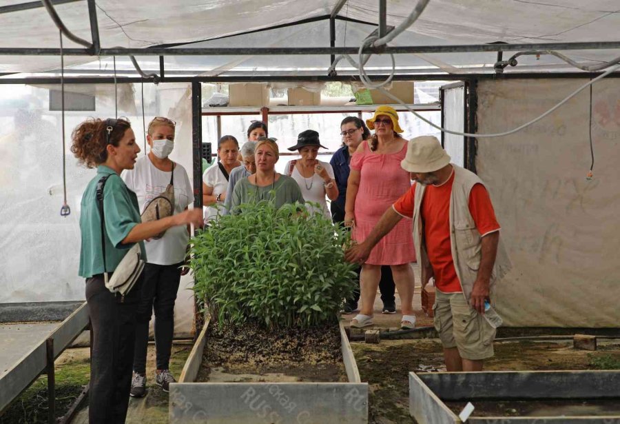 Tıbbi Aromatik Bitkiler Toprakla Buluştu