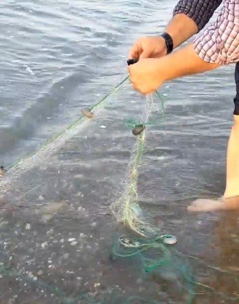 Antalya’da Balıkçı Ağına Takılan Caretta Yavruları Kurtarıldı