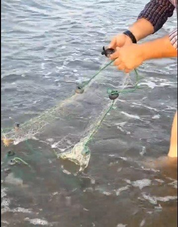 Antalya’da Balıkçı Ağına Takılan Caretta Yavruları Kurtarıldı