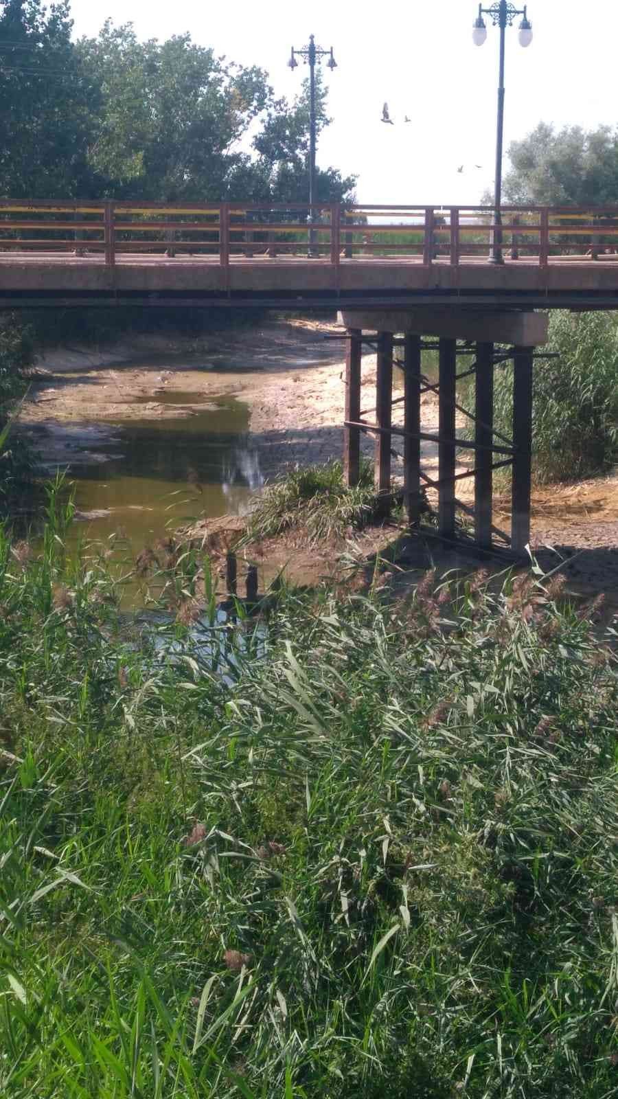 Porsuk Çayı Beylikova’da Kurudu