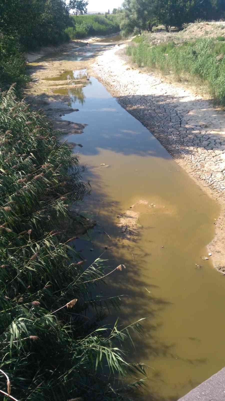 Porsuk Çayı Beylikova’da Kurudu