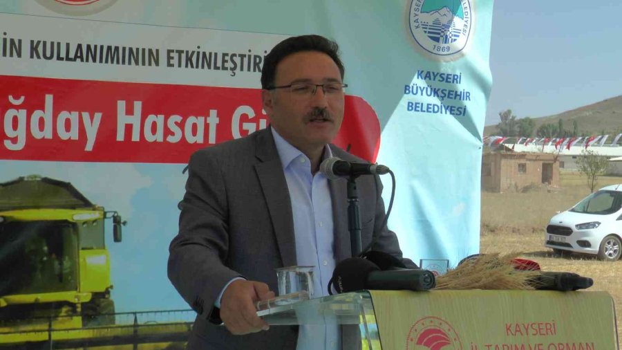 Vali Ve Başkan Yazlık Buğday Hasadı Yaptı