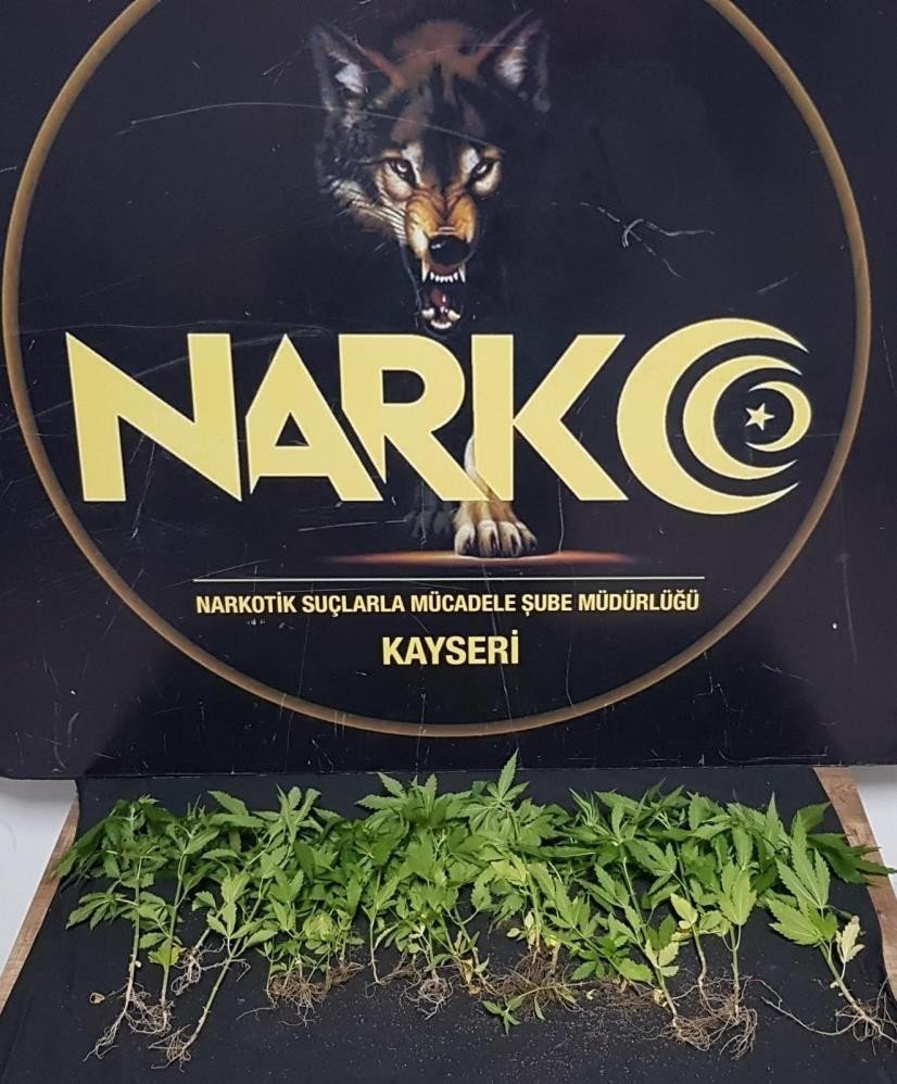Kayseri’de 1 Ayda 143 Kişiye Uyuşturucudan İşlem Yapıldı