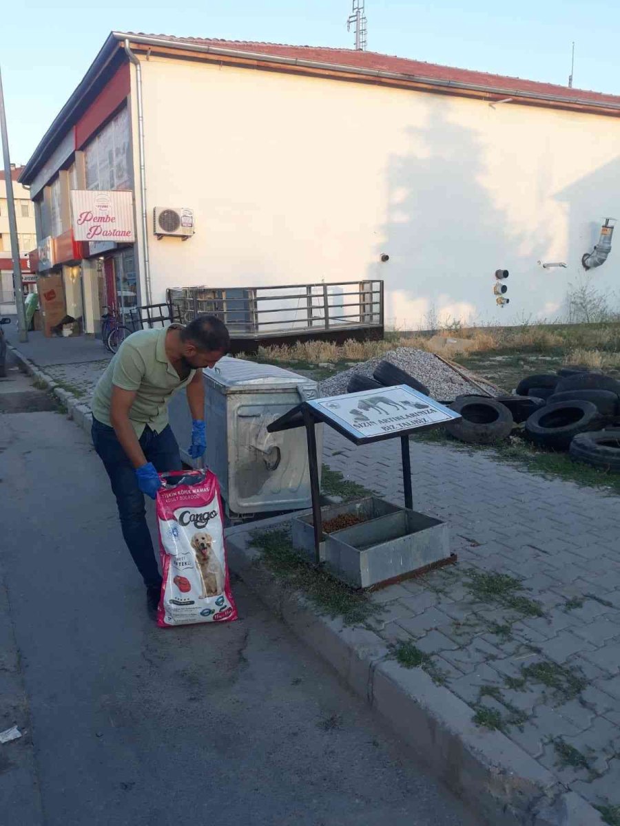Tomarza’da Sokak Hayvanlarına Yem Bırakıldı