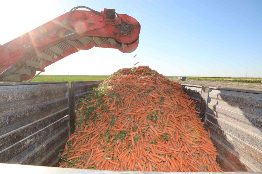 Başkan Altay: “konya Her Manada Üreten Bir Şehir”
