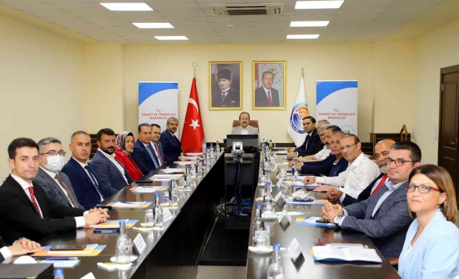 Akdenizli Kadınlar Süs Bitkisi Üretecek