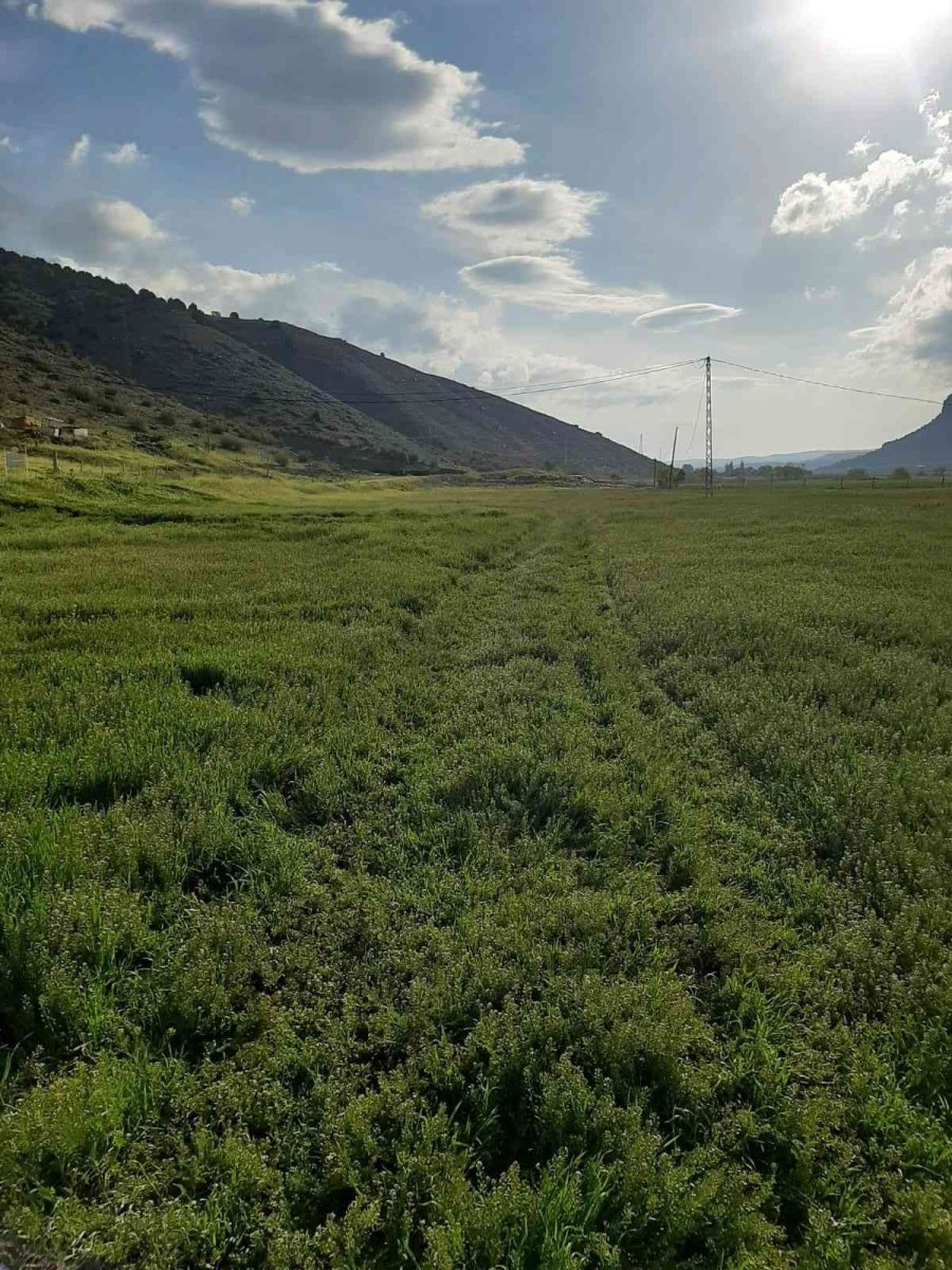 Mihalıççık İlçesi Adahisar Mahallesi’nde Islah Ve Amenajman Projesi