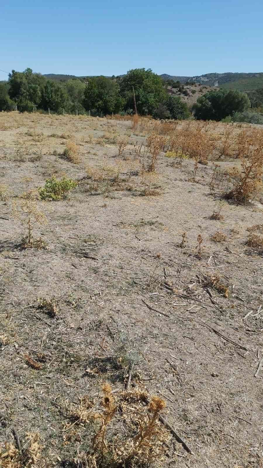 Mihalıççık İlçesi Adahisar Mahallesi’nde Islah Ve Amenajman Projesi