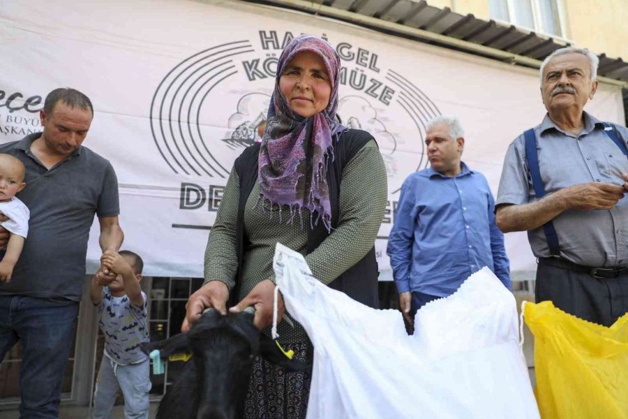 Mersin Büyükşehir Belediyesinin Hayvan Ve Yem Desteği Sürüyor