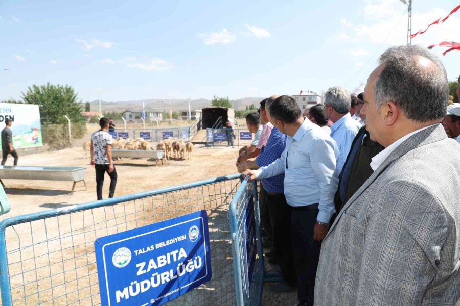 Talas’ın Tarım Ve Hayvancılığa Desteği Sürüyor