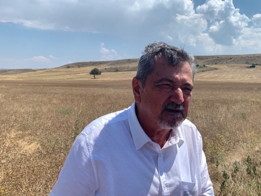 Anadolu’nun 500 Yıllık Bitkisi Pelemir İçin Hasat Zamanı