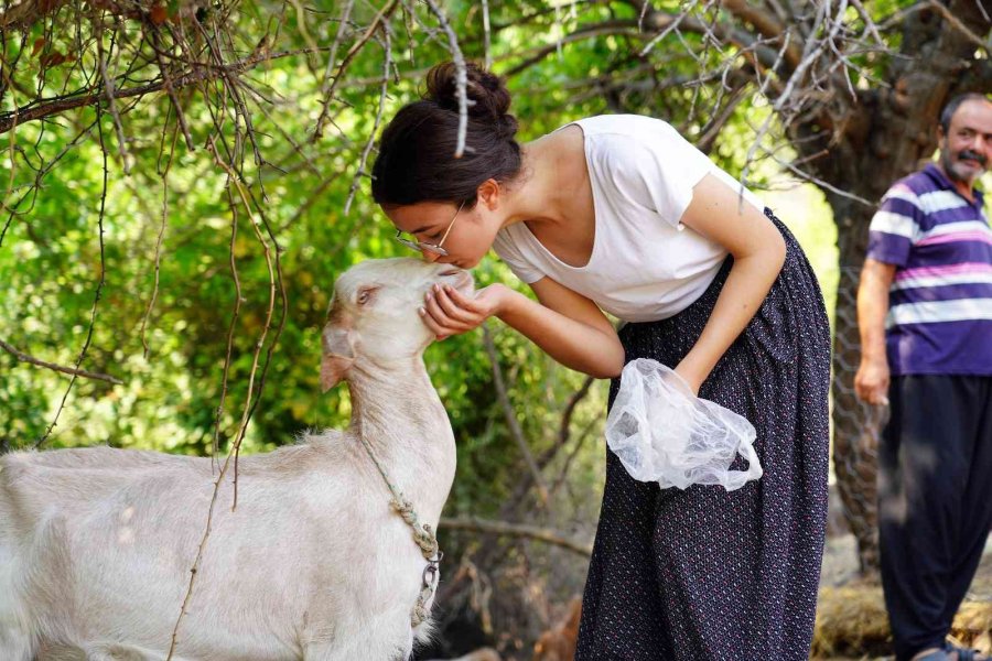 Yörük Çocukların Büyük Başarısı