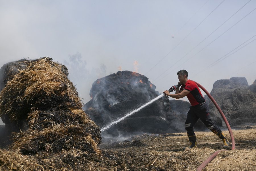 Saman Balyaları Alev Aldı, Yangın Ormana Sıçramadan Son Anda Söndürüldü