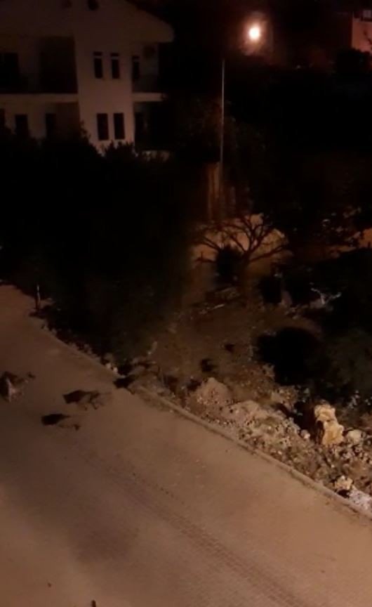 Mahalleye İnen Domuz Sürüsü İle Köpeklerin Kovalamacası Kamerada