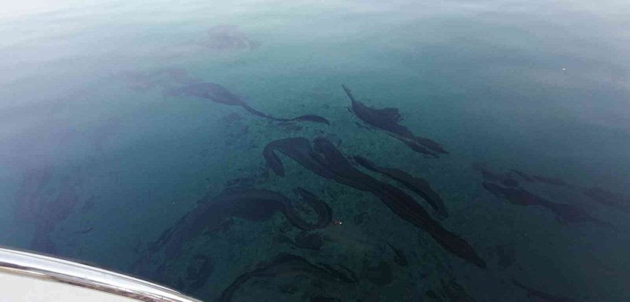 Manavgat Irmağı’nda Tepki Çeken Görüntü