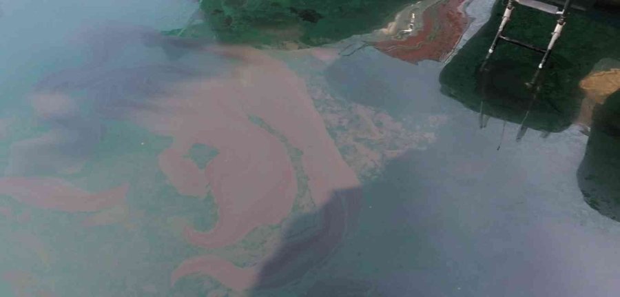 Manavgat Irmağı’nda Tepki Çeken Görüntü