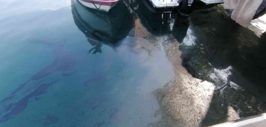 Manavgat Irmağı’nda Tepki Çeken Görüntü