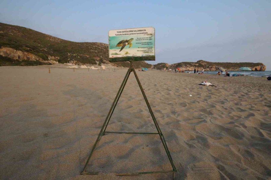 Patara’da Caretta Caretta Yavruları Denizde