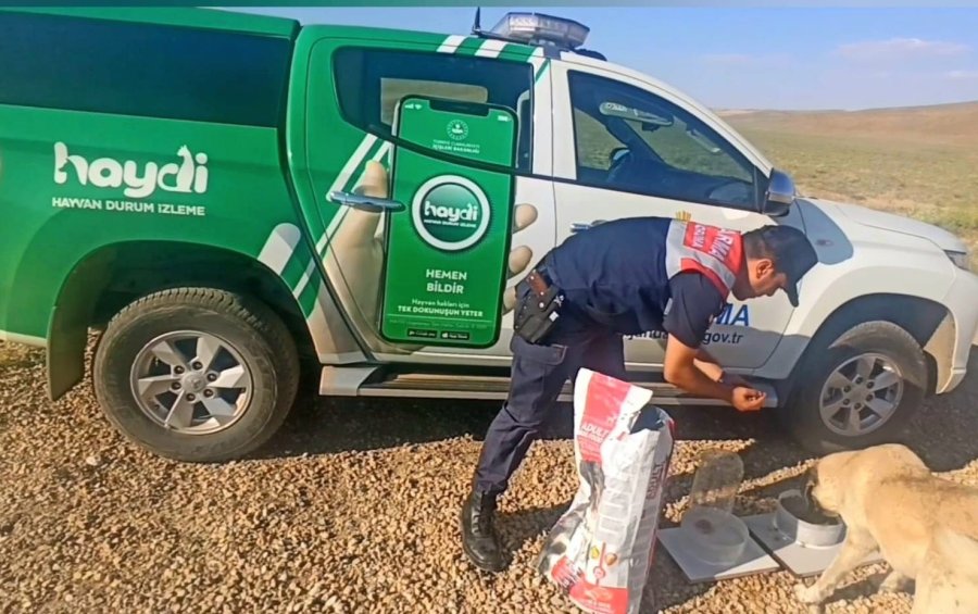 Jandarmadan Hayvanlara Şamandıra Sistemli Su Ve Yem Kapları