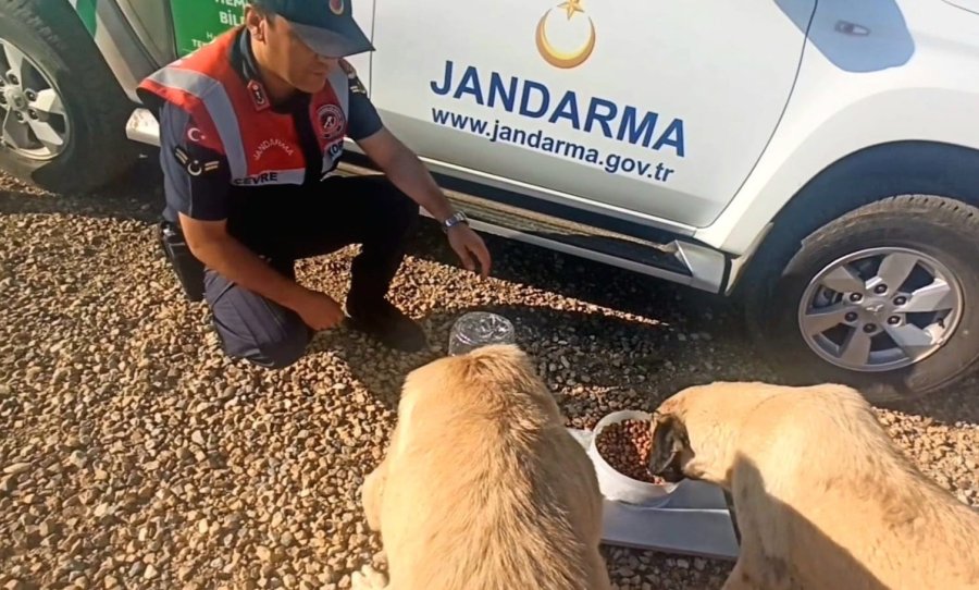 Jandarmadan Hayvanlara Şamandıra Sistemli Su Ve Yem Kapları